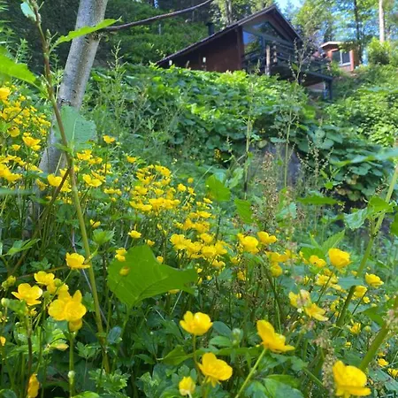 Gueven Dag Evi Chalet
