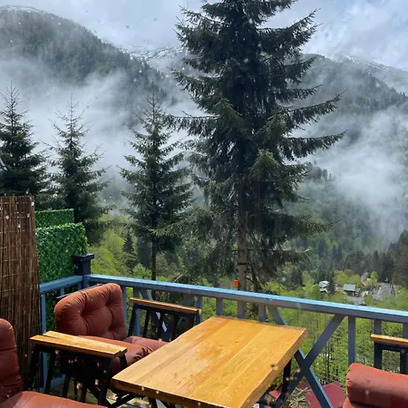 Gueven Dag Evi * Ayder Yaylasi