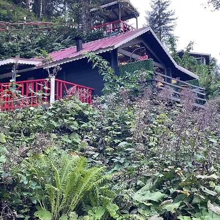 Chalet Gueven Dag Evi Ayder Yaylasi
