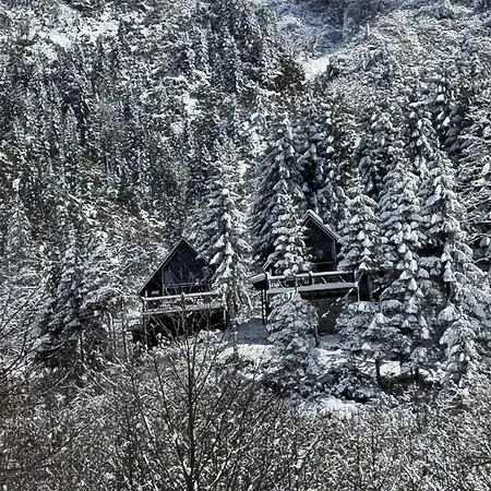 Gueven Dag Evi Chalet *